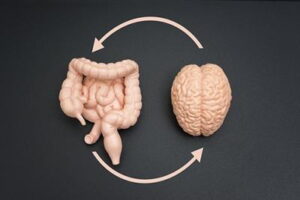 Visual-representation-of-the-gut-brain-connection